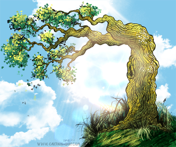 overhanging-tree-sketch-cartoon-598