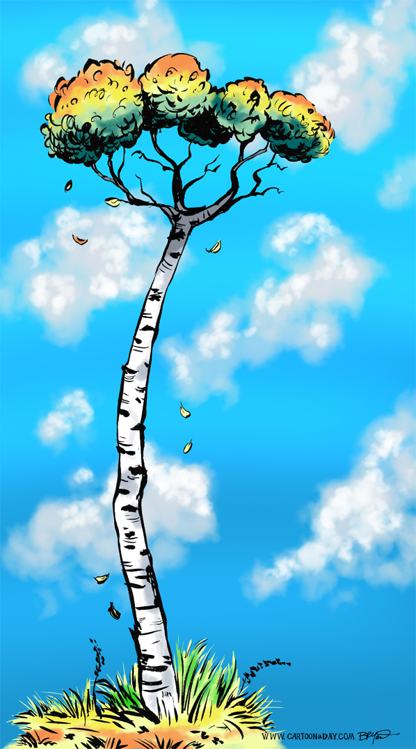 twiggy-tree-birch-598