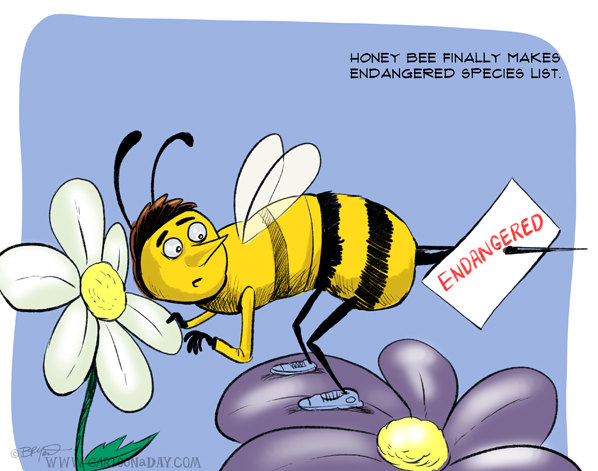 Endangered-honey-bee-cartoon-598