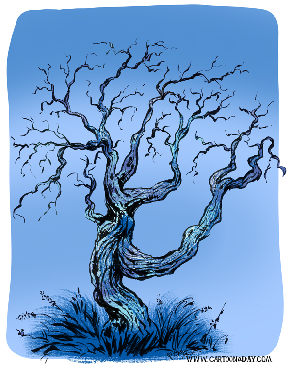 twiggy-lopsided-tree-598