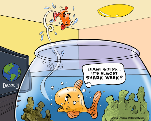 Shark-week-schedule-cartoon-598