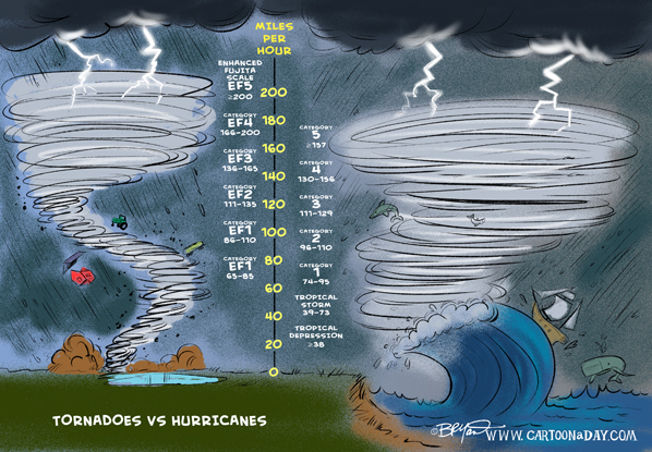 Hurricane-vs-Tornado-cartoon-598