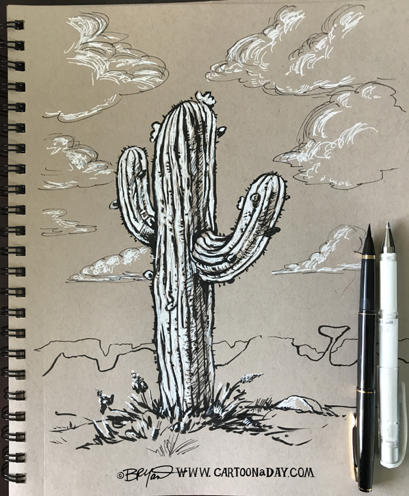 cactus-sketchbook-598