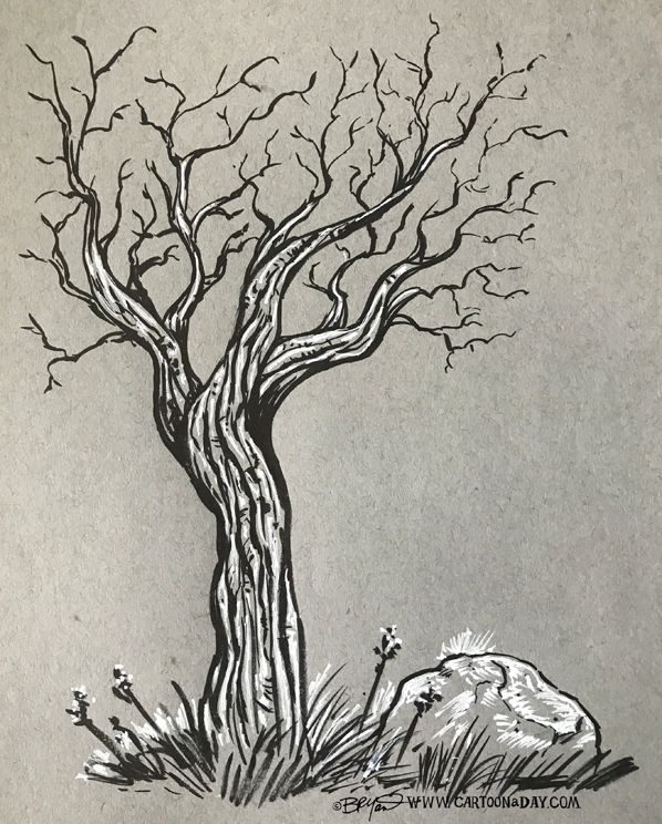 twiggy-tree-sketch-rock-598