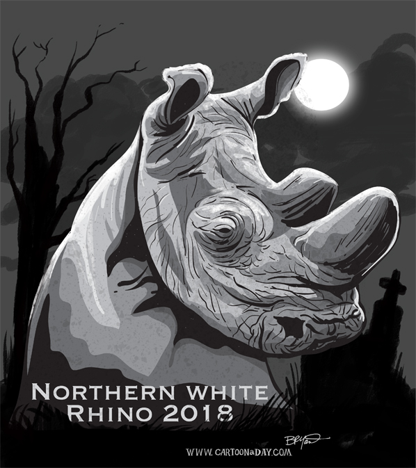 northern-white-rhino-dies-gravestone-598