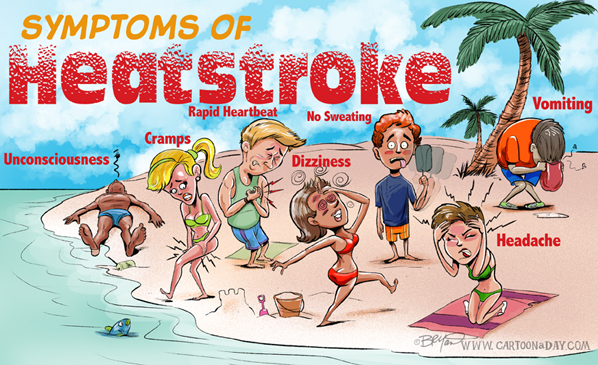 Symptoms-of-heatstroke-cartoon-598