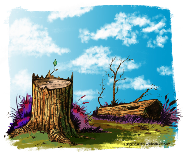 Twiggy-tree-stump-598