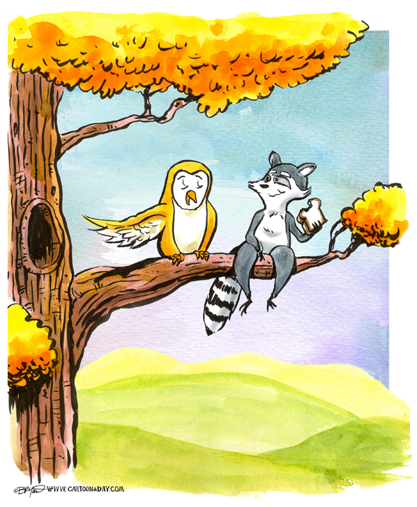 raccoon-and-owl-in-tree-598