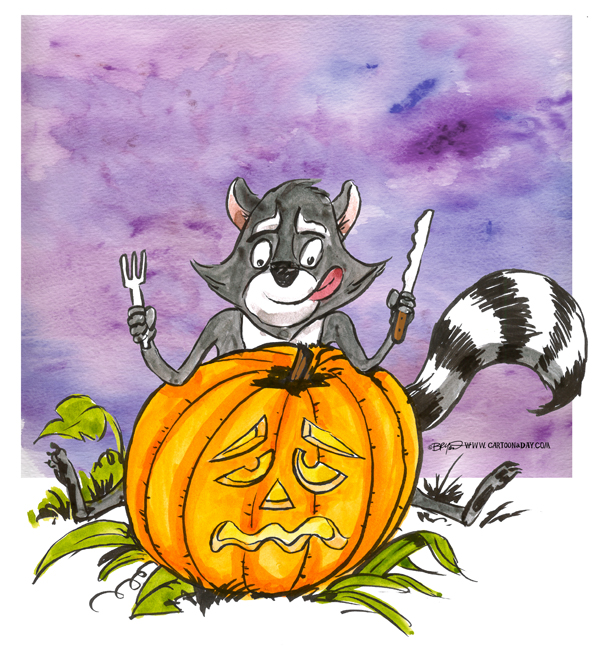 raccoon-eating-jackolantern-598