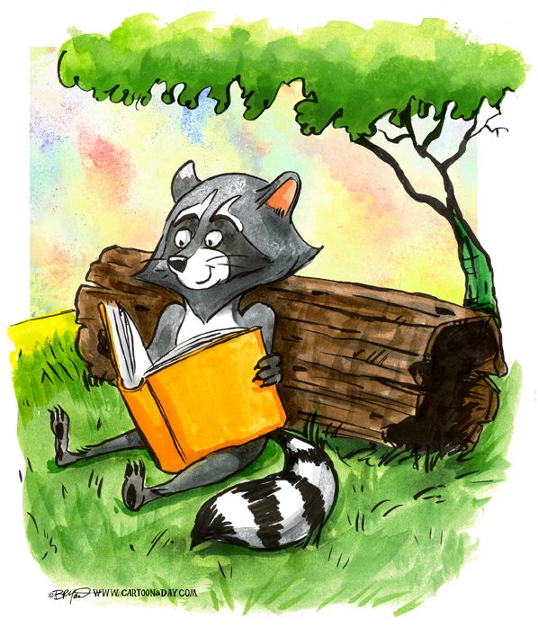 raccoon-reading-book-598