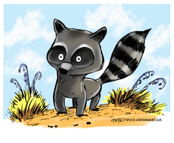 cute-raccoon-watercolor-598