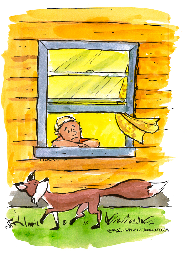 fox-outside-my-window-598