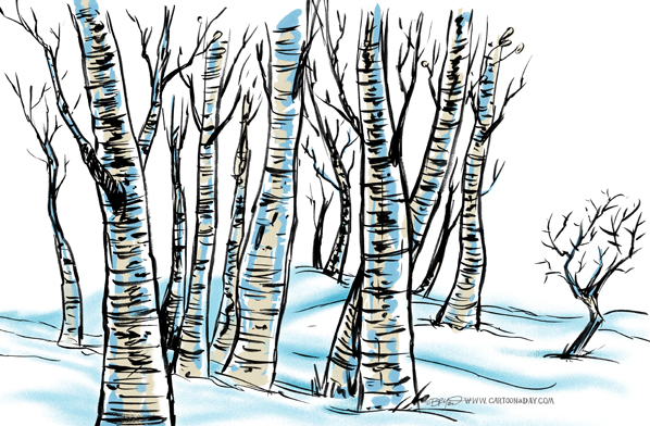 Birch-forest-twiggy-tree-598