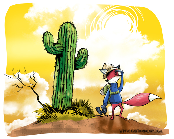 fox-adventure-cactus-598