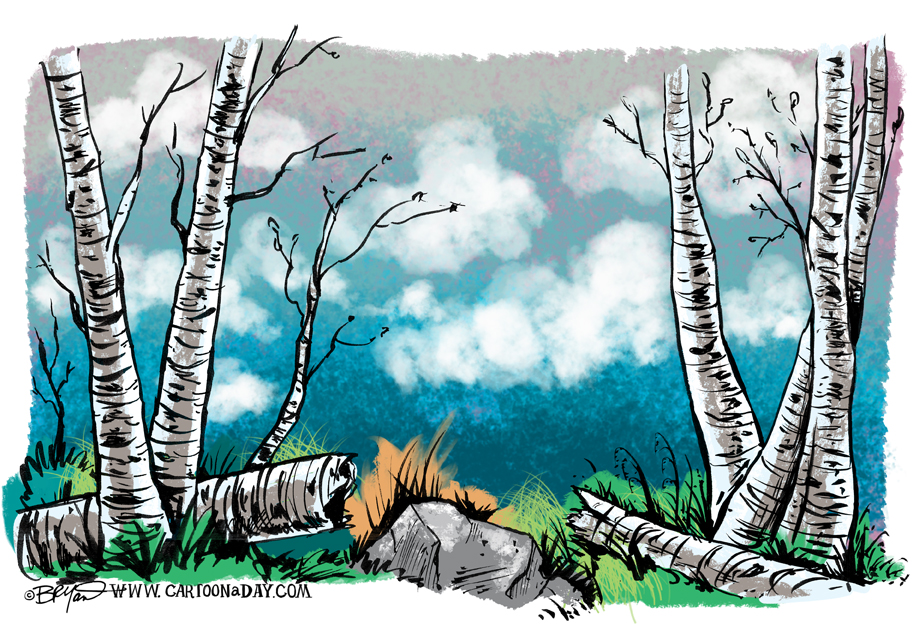 twiggy-birch-tree-glade-clouds