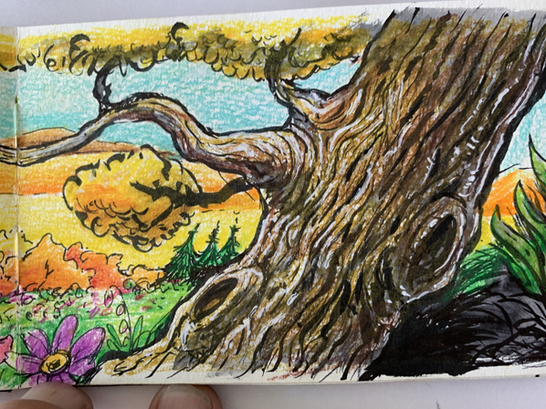 sketchbook-road-tree-598-D