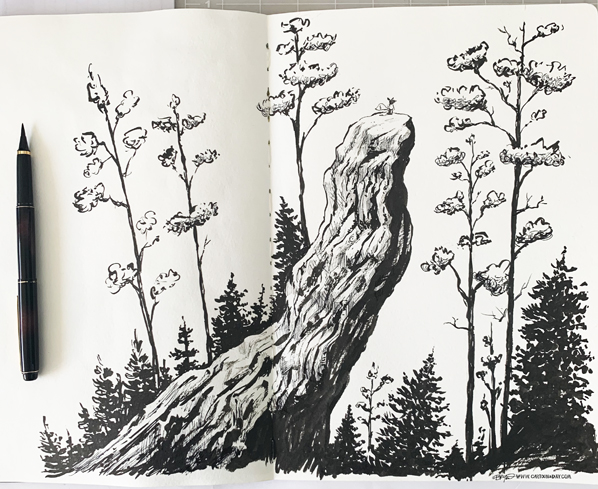 kit-climbs-redrock-sketchbook-598