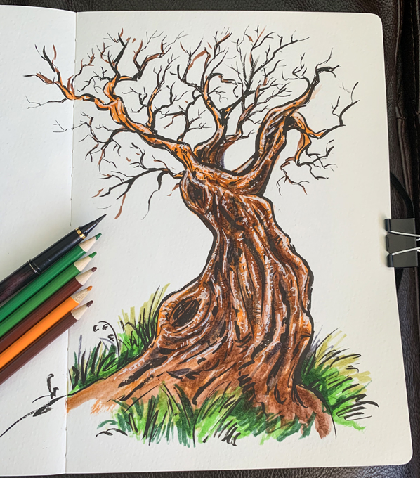 twiggy-sketchbook-tree-pencil-598