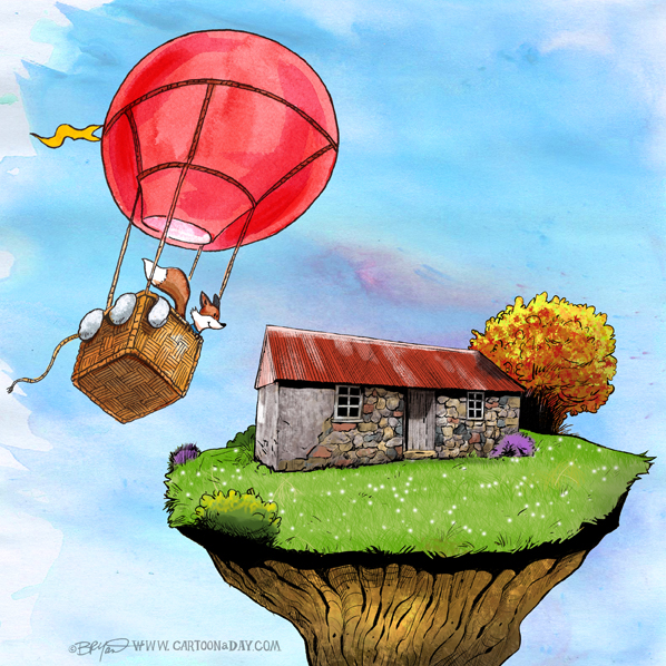 Kit-fox-Cottage-balloon-598