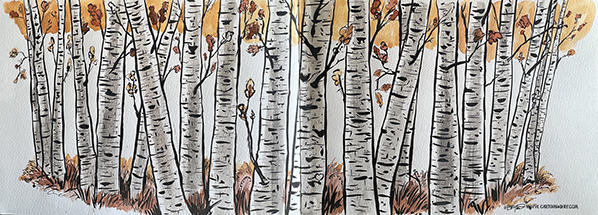 Birch-forest-wtercolor-598