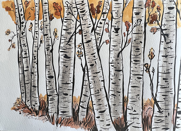 Birch-forest-wtercolor-A