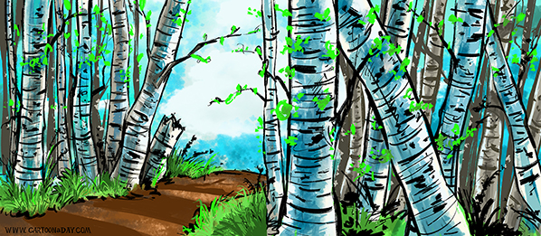 Blue-birch-forest-598