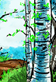 Blue Birch Forest Cartoon