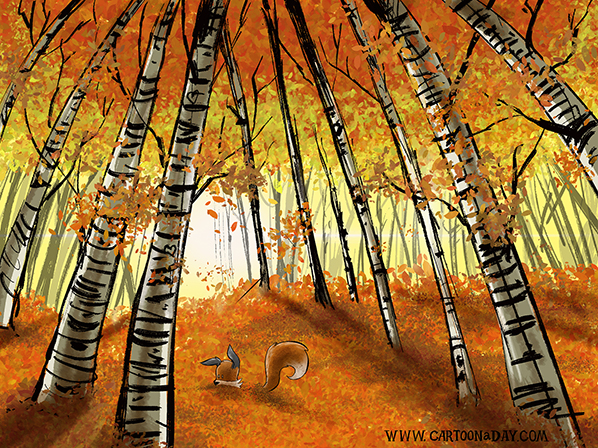 Kit-fox-autumn-forest-598