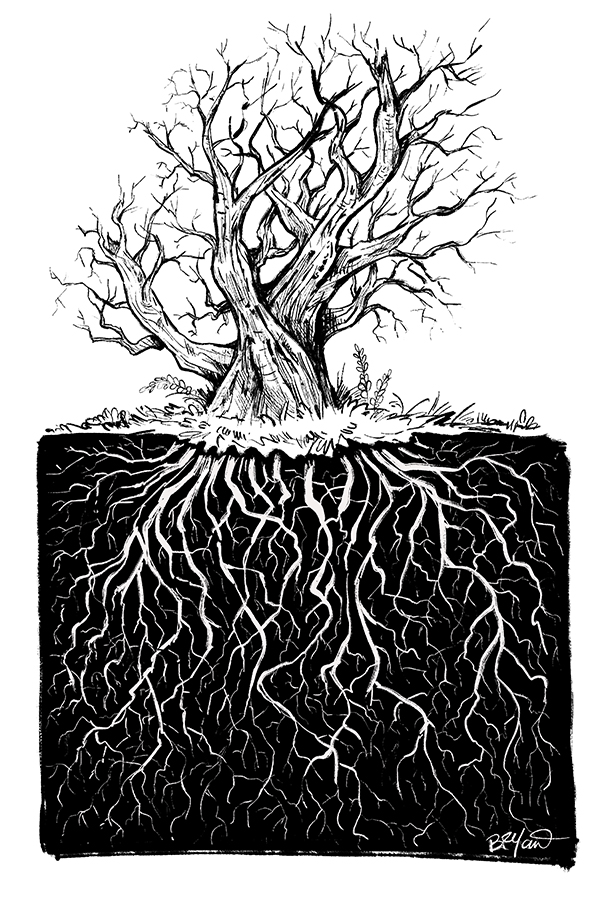 Twiggy-rooted-tree-598