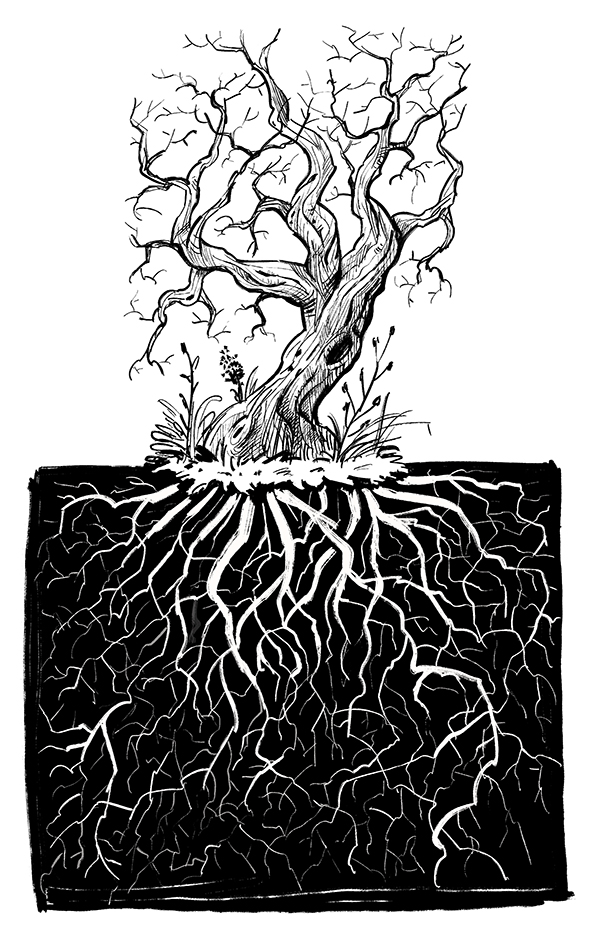 Twiggy-rooted-tree-a-598