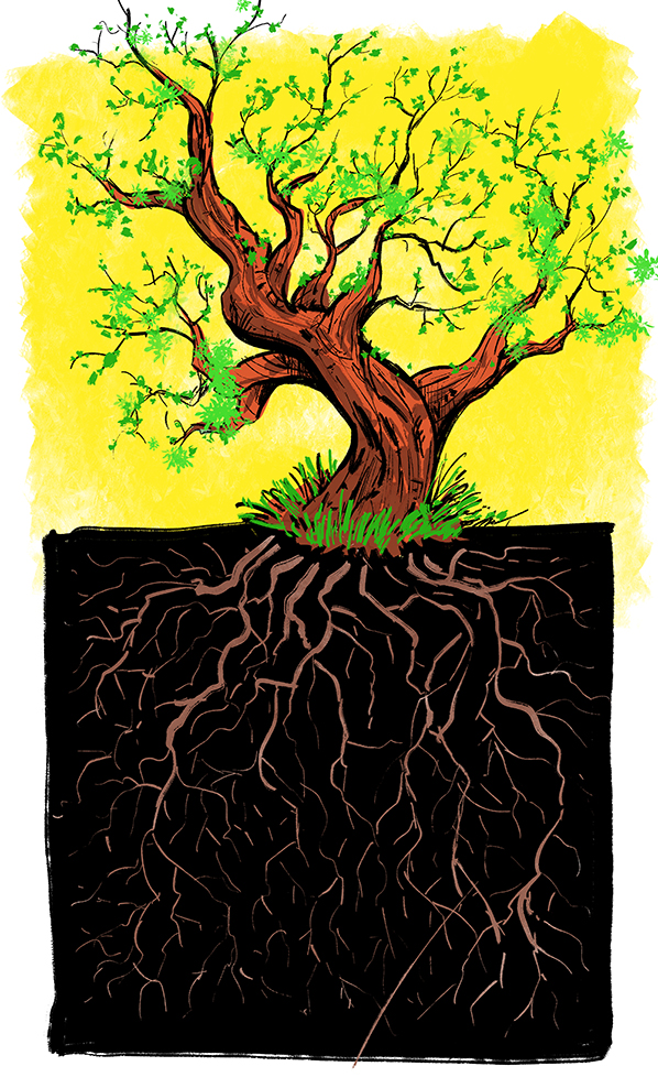 Twiggy-rooted-tree-center-598