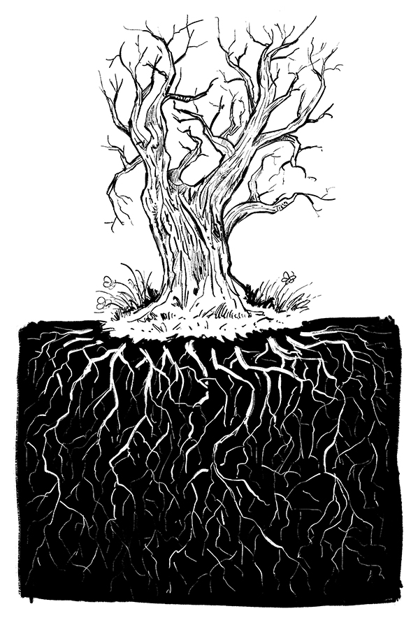 Twiggy-rooted-tree-center-598