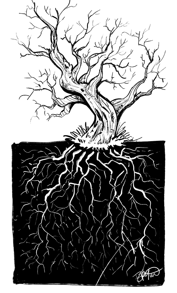 Twiggy-rooted-tree-leaning-left-598