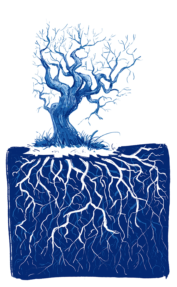 Twiggy_tree_On_Yellow-598