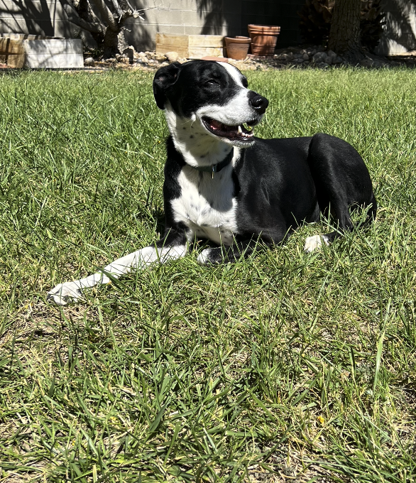 Screenshot 2025-09-23 at 12.54.52 PM